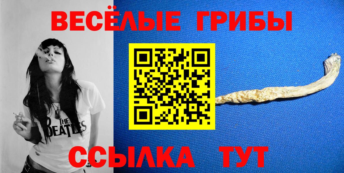 Псилоцибиновые грибы Cubensis Заводоуковск