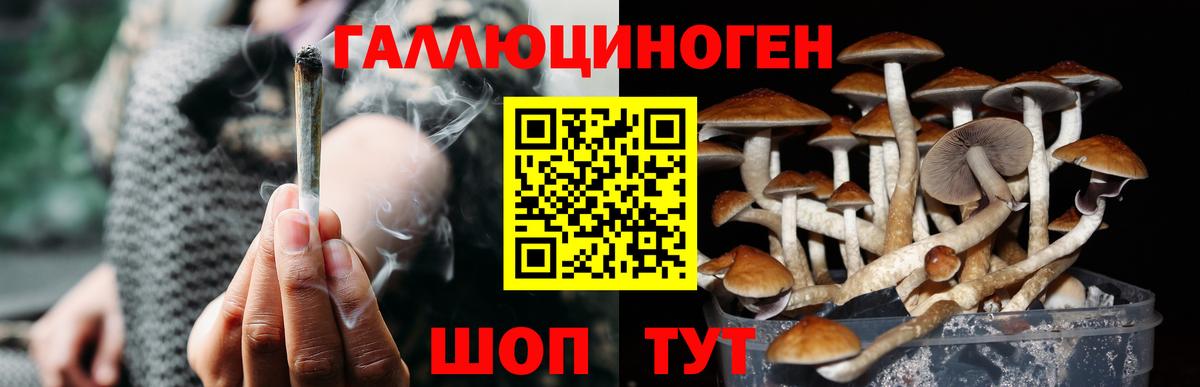даркнет сайт  Галлюциногенные грибы Magic Shrooms  Галлюциногенные грибы Cubensis  Вход с VPN  Заводоуковск 